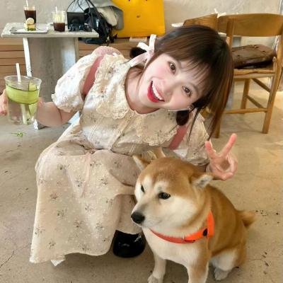 樱花队离散海报