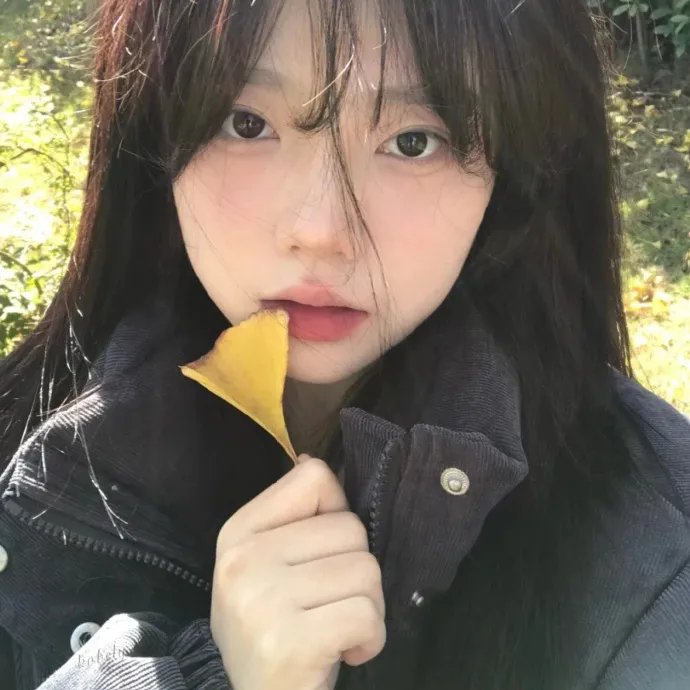 菊与断头台海报