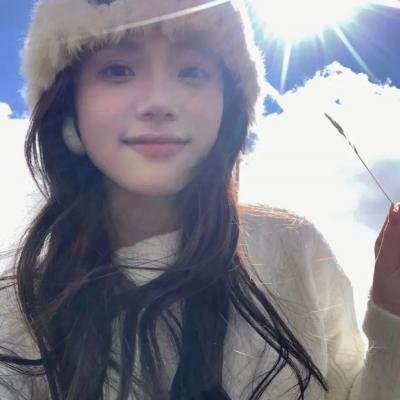 汽车女窃贼海报